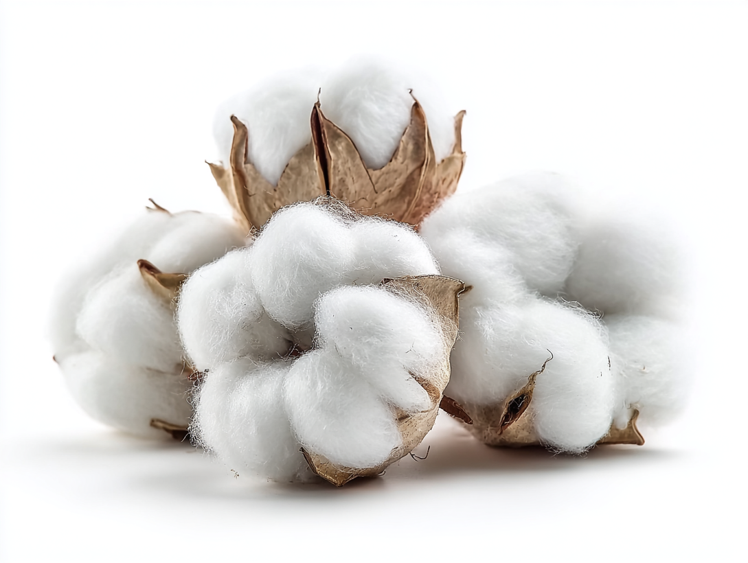 What Is Cotton and Why It Matters in Textiles