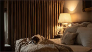 Darkness Done Right: How Blackout Curtains Revolutionize Your Home and Sleep