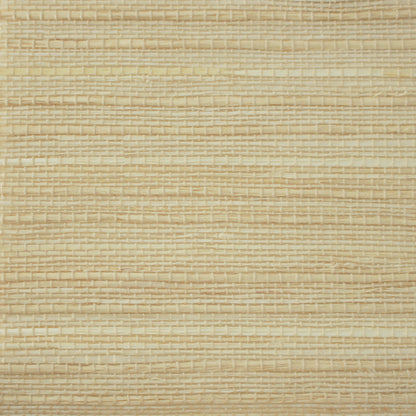 Natural  Ramie Woven Shade | Beige
