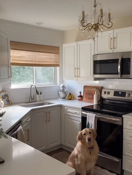 Beige Red Ramie Shade @  Edwards