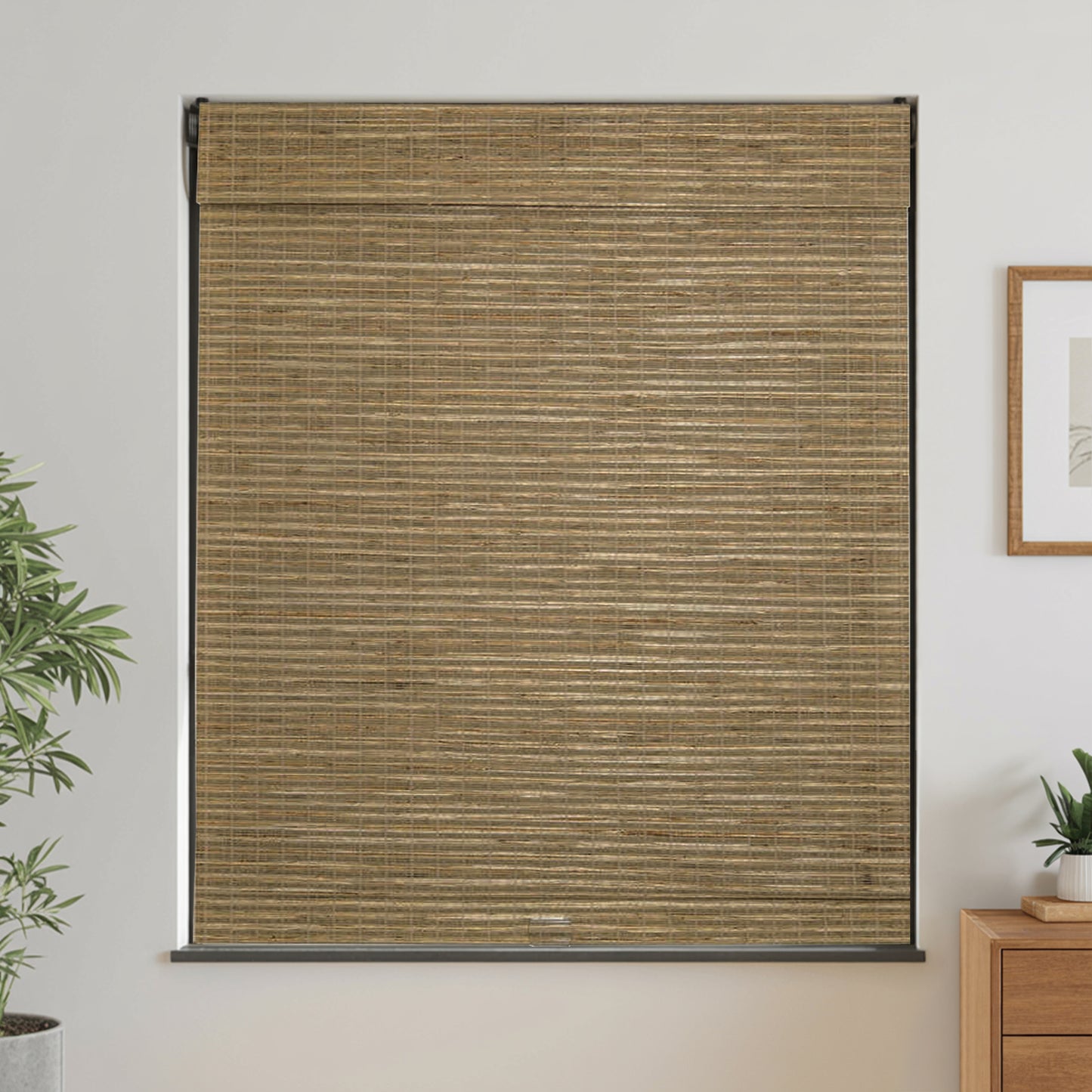Natural  Ramie Woven Shade | Coconut