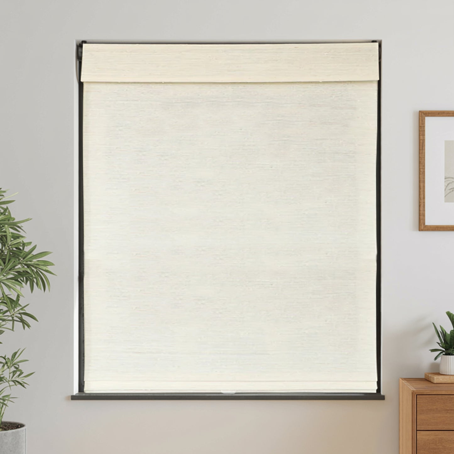 Natural  Ramie Woven Shade | Coconut White